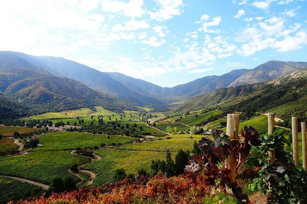 Vale-de-Colchagua