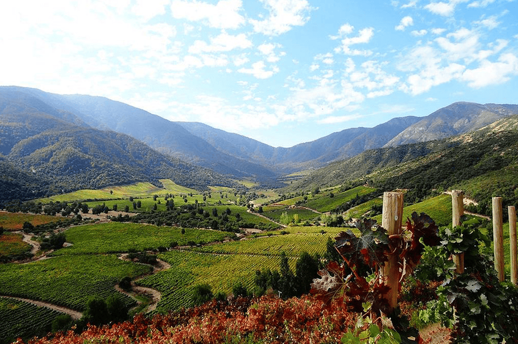 Vale de Colchagua