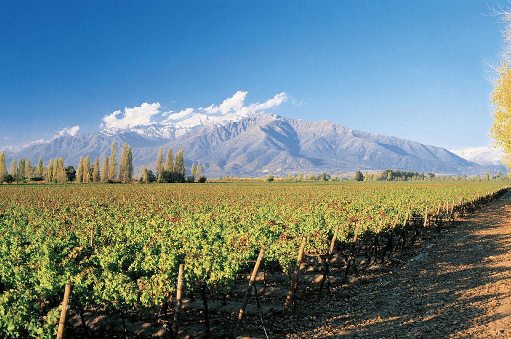 Vale de Colchagua