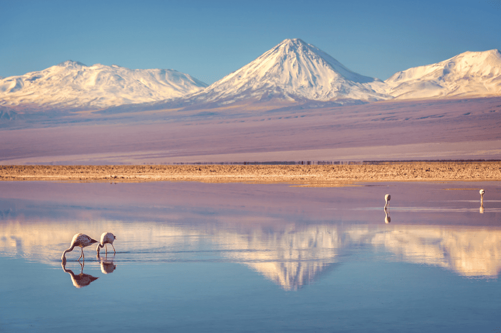 As belezas do Deserto do Atacama