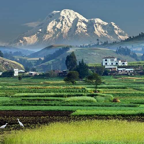 500x510-equador 500x510-equador